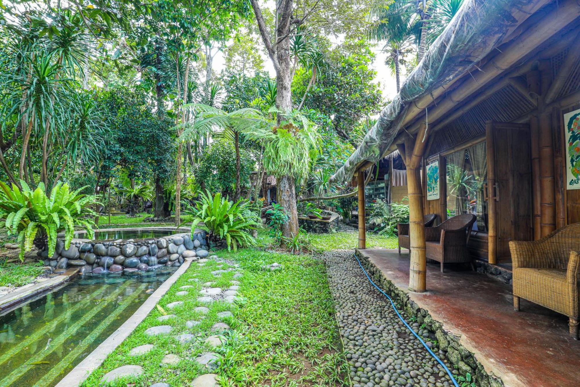 Omunity Bali Hotel Singaraja  Ngoại thất bức ảnh