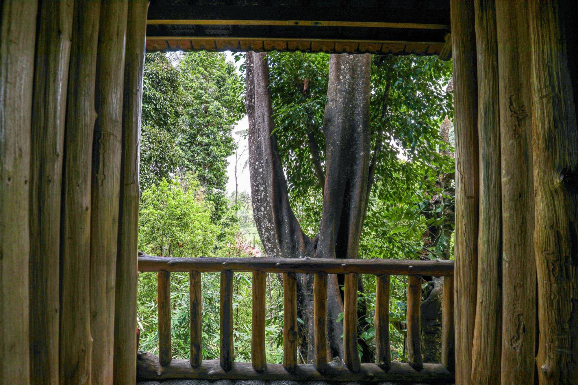 Omunity Bali Hotel Singaraja  Ngoại thất bức ảnh