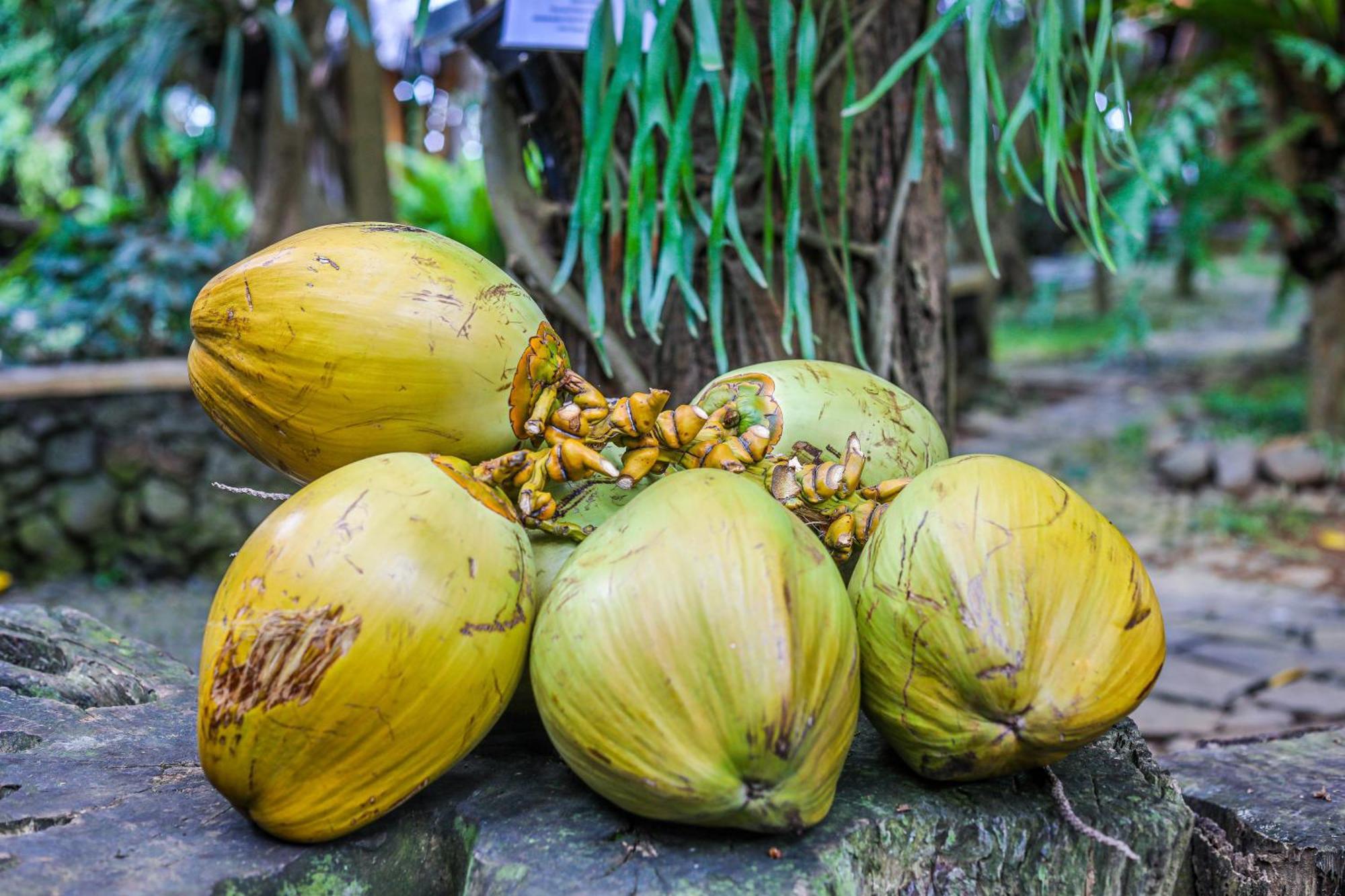 Omunity Bali Hotel Singaraja  Ngoại thất bức ảnh