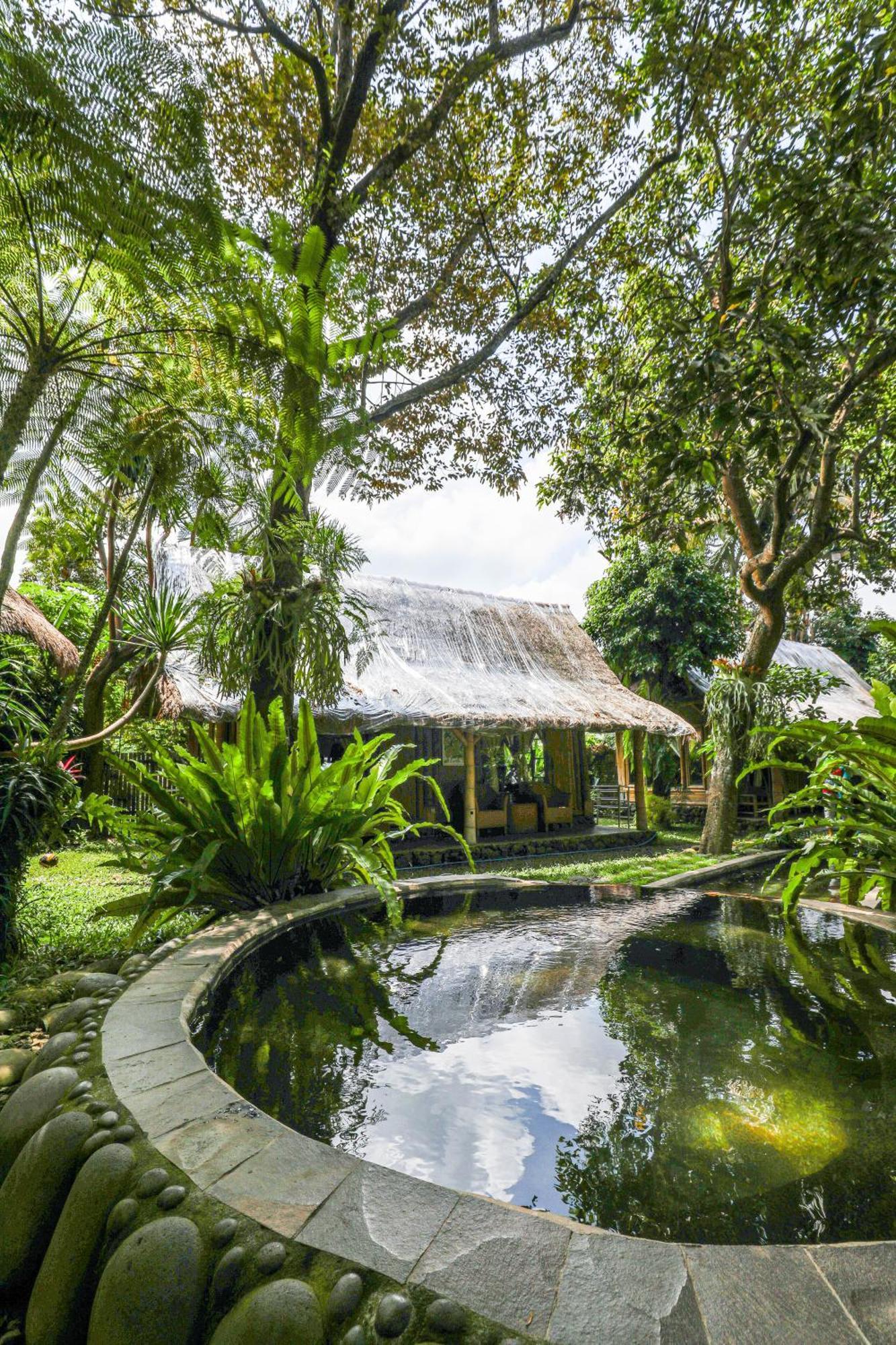 Omunity Bali Hotel Singaraja  Ngoại thất bức ảnh